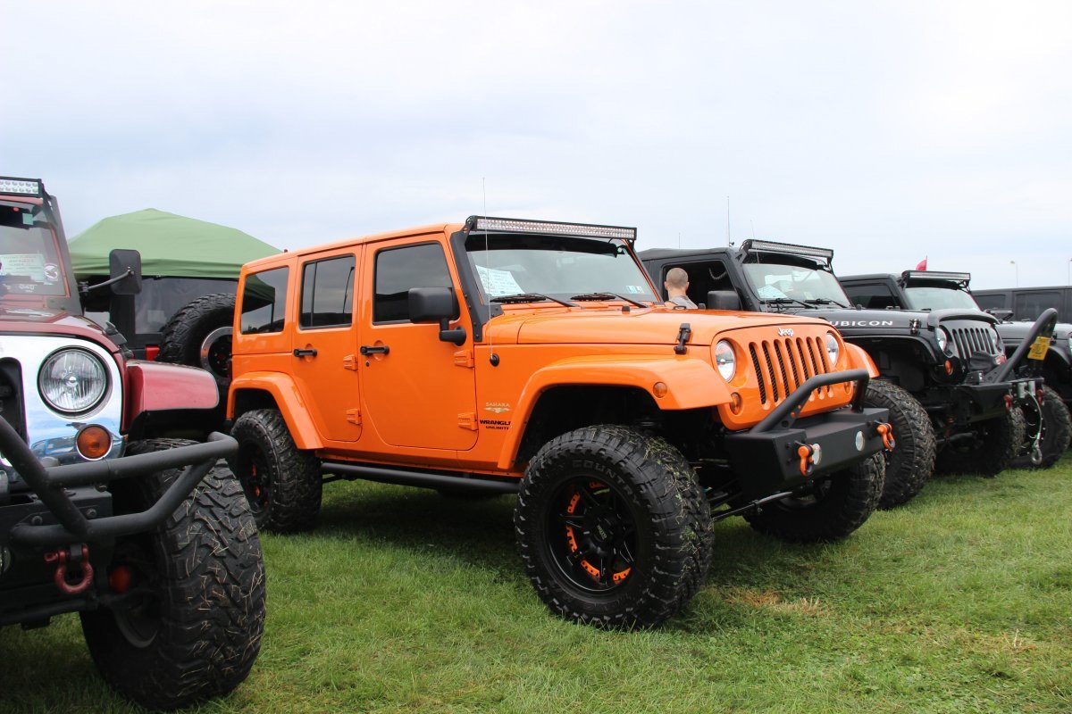 All-Breeds-Jeep-Show-2015-23
