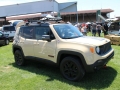 All-Breeds-Jeep-Show-2015-164