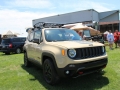 All-Breeds-Jeep-Show-2015-165